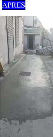 World-Care-Habitat-4 (3)